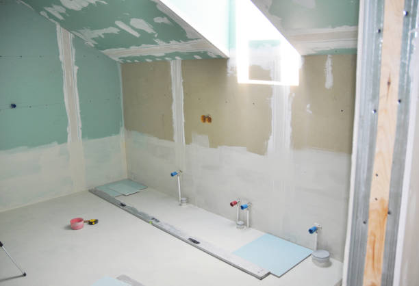 Best Biohazard Mold Removal  in New Port Richey East, FL