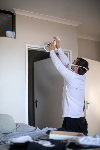 Best Forensic Mold Investigation  in New Port Richey East, FL