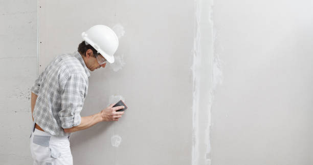 Biohazard Mold Removal in New Port Richey East, FL