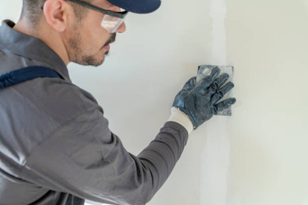 Environmental Consulting for Mold Prevention in New Port Richey East, FL