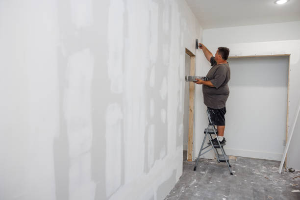 Best Residential Mold Inspection & Testing  in New Port Richey East, FL