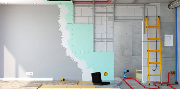 Best Mold Remediation for Healthcare Facilities  in New Port Richey East, FL