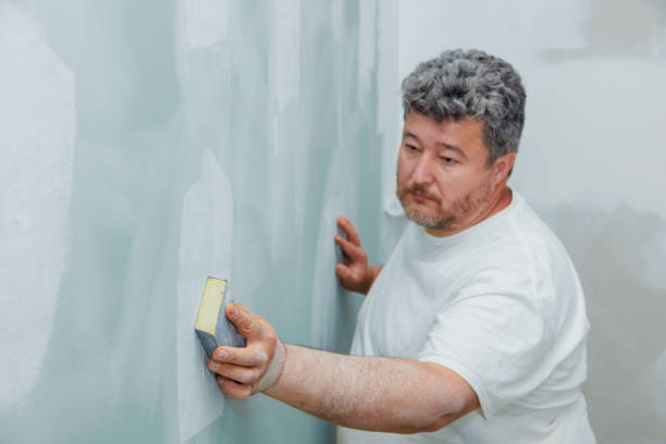 Best Airborne Mold Testing  in New Port Richey East, FL
