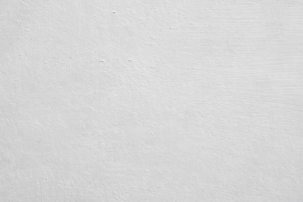 Best Emergency Mold Remediation  in New Port Richey East, FL